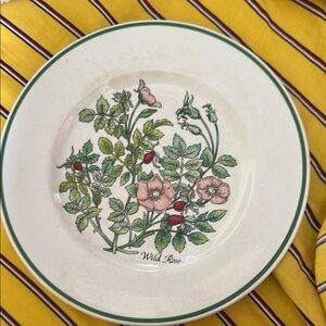 Wild Rose Green and Pink Dinnerware Set